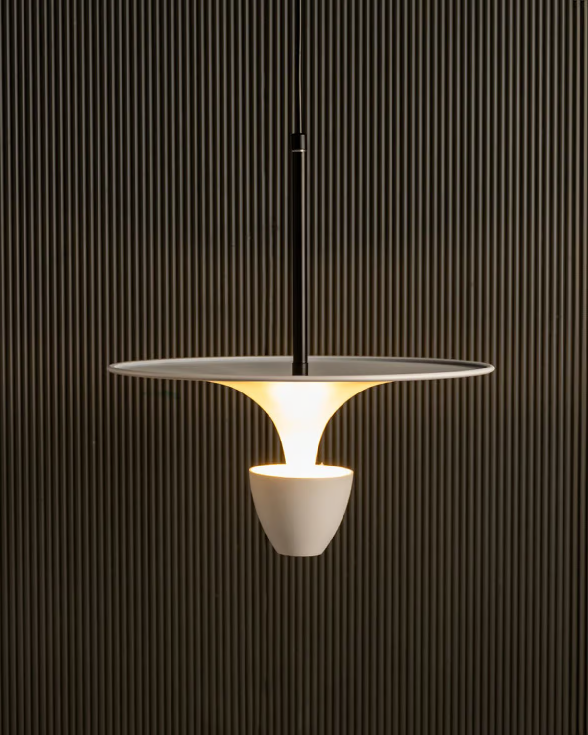 La Lumière Étoilée