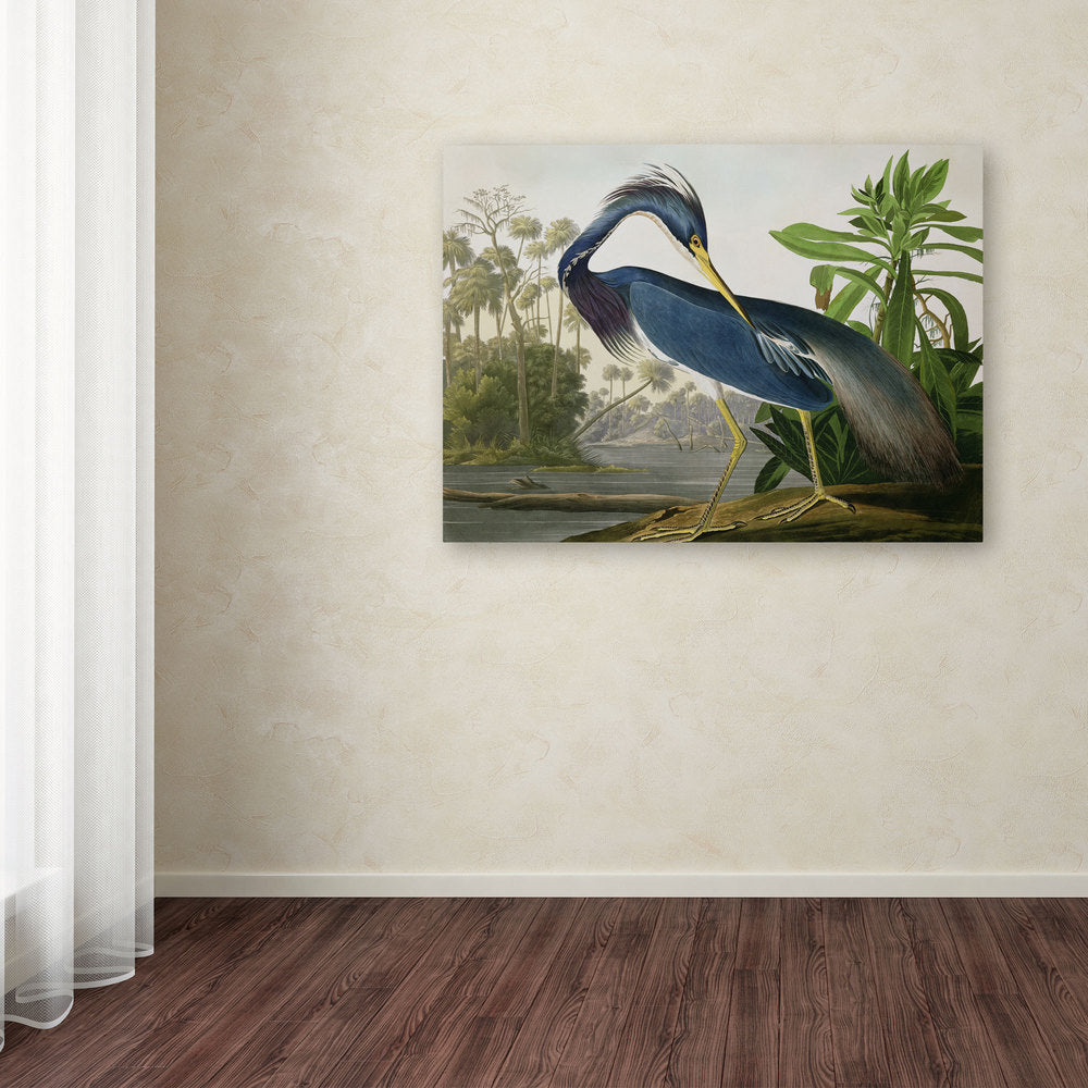 L'opera d'arte su tela "Louisiana Heron" di John James Audubon, curata da The Curated Nomad