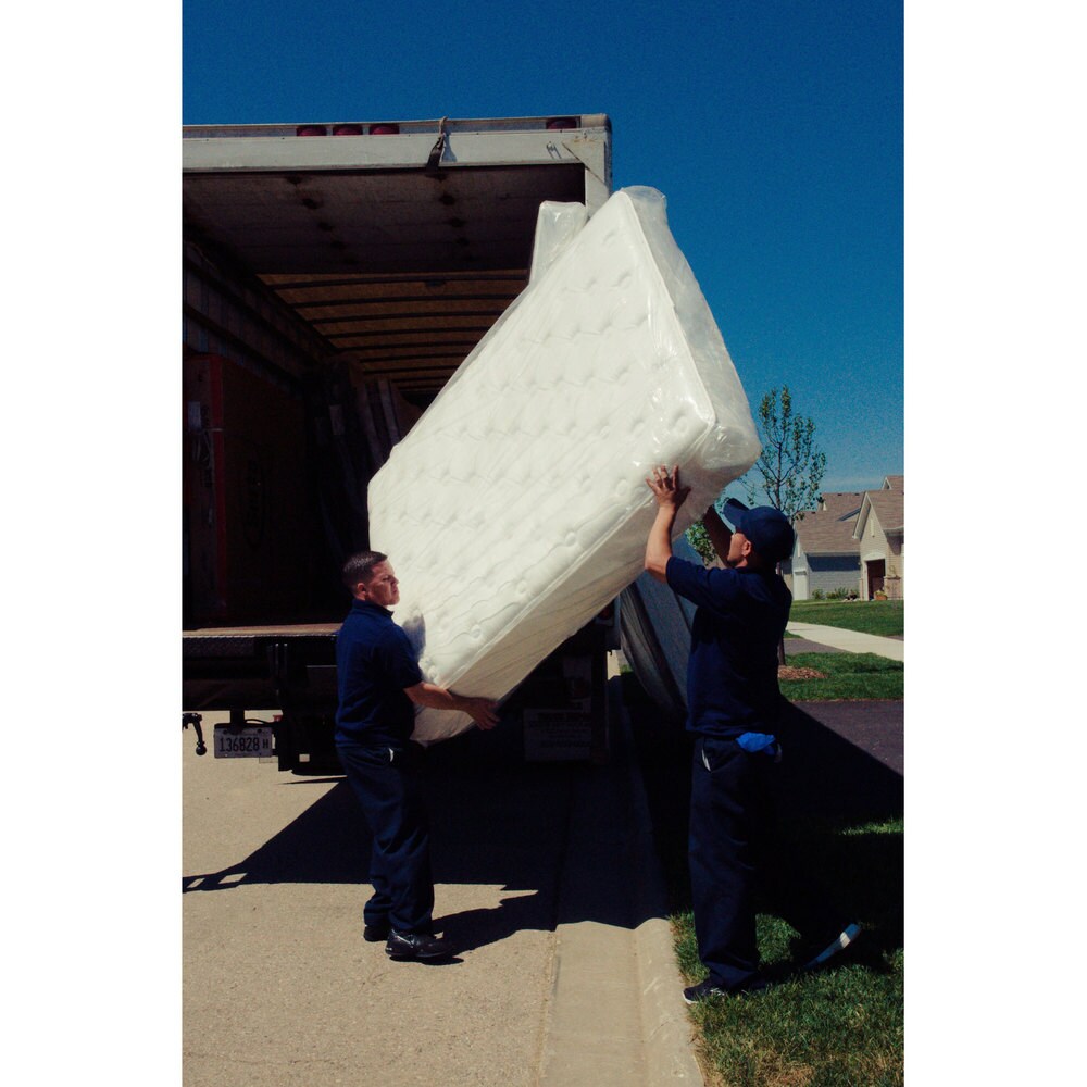 Set di materassi a molle insacchettate Serta SleepTrue da 12,5 pollici Malloy Euro Top Plush