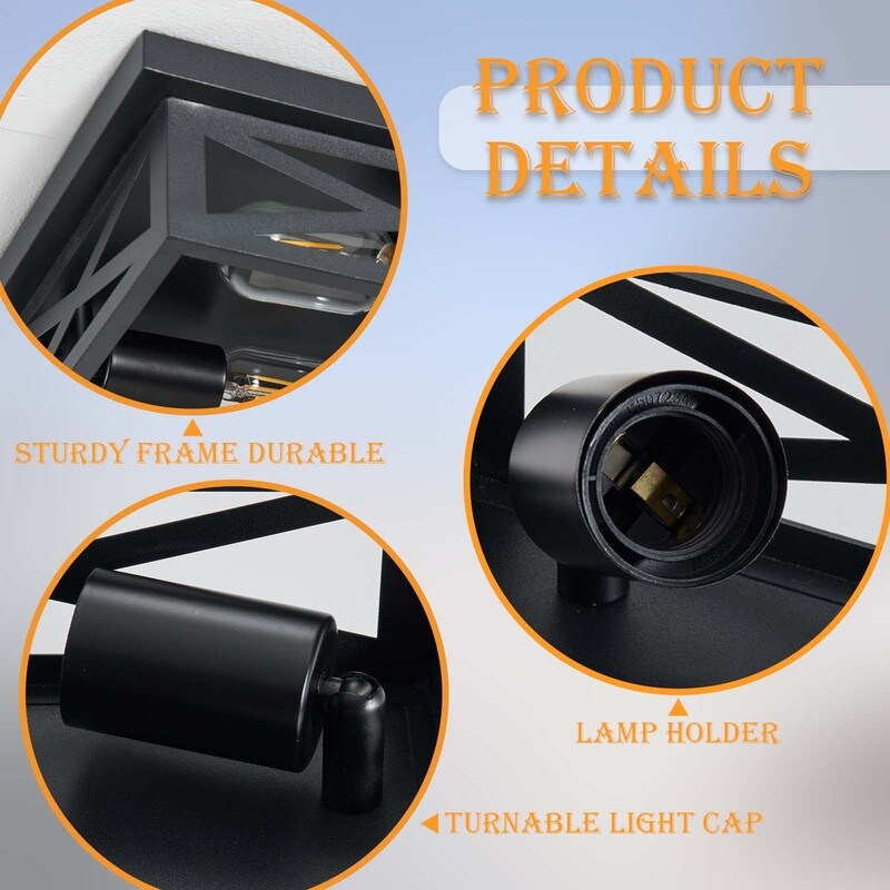 Plafoniera da soffitto a filo stile fattoria nera a 2 luci - Confezione da 2