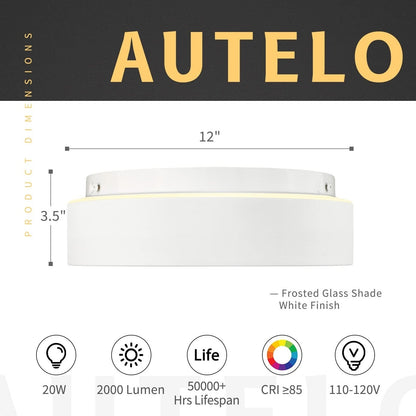 Plafoniera a filo a 2 luci con paralume in vetro smerigliato - 12,0 pollici LX 12,0 pollici WX 3,5 pollici H