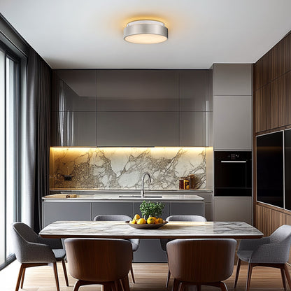 Plafoniera a filo a 2 luci con paralume in vetro smerigliato - 12,0 pollici LX 12,0 pollici WX 3,5 pollici H