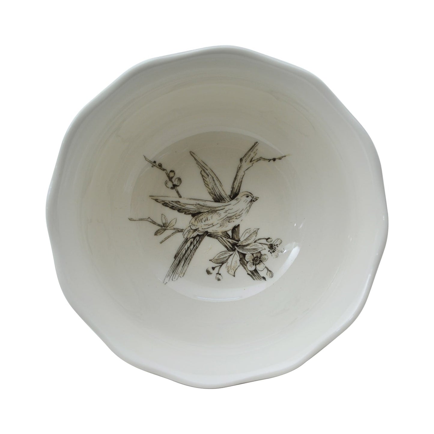 222 Fifth Adelaide Servizio da tavola in porcellana da 16 pezzi con piatti rotondi, ciotole e tazze, bianco antico