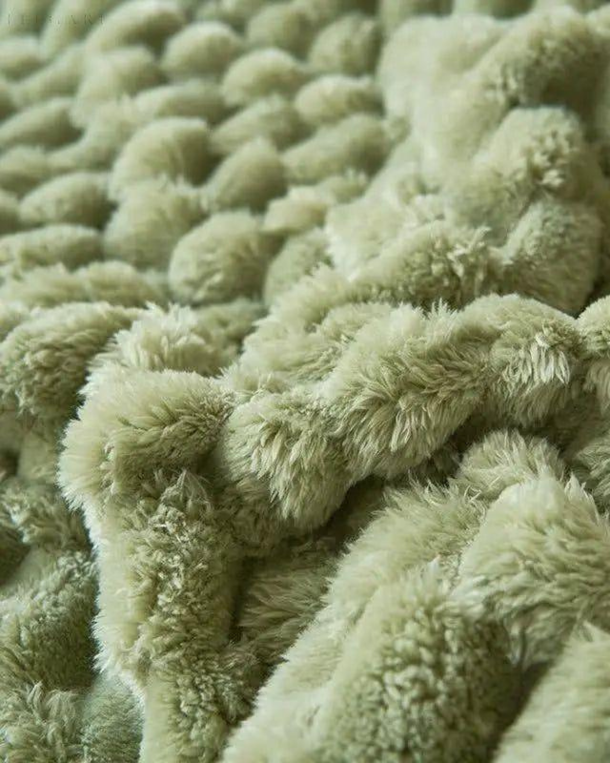 Lancio Tranquille Haven