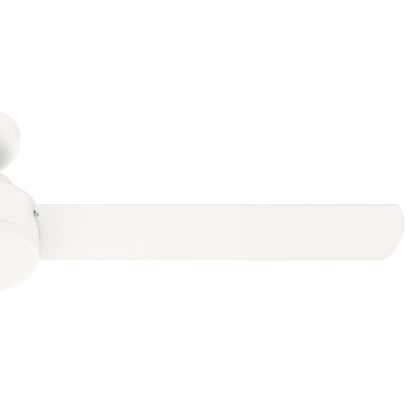 Gazebo pergolato in acciaio da esterno 10' x 13', tettoia per patio con fori di drenaggio per giardino, piscina e cortile