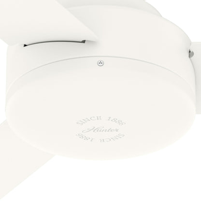 Gazebo pergolato in acciaio da esterno 10' x 13', tettoia per patio con fori di drenaggio per giardino, piscina e cortile