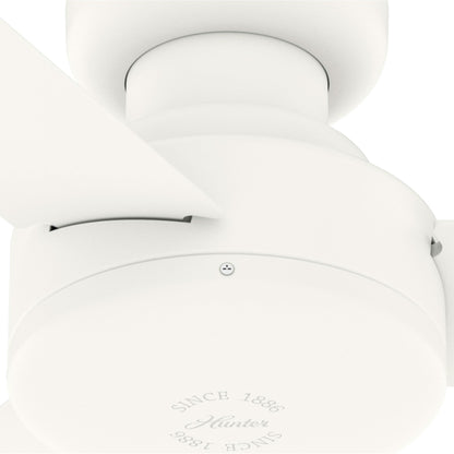 Gazebo pergolato in acciaio da esterno 10' x 13', tettoia per patio con fori di drenaggio per giardino, piscina e cortile