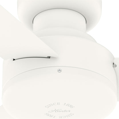 Gazebo pergolato in acciaio da esterno 10' x 13', tettoia per patio con fori di drenaggio per giardino, piscina e cortile