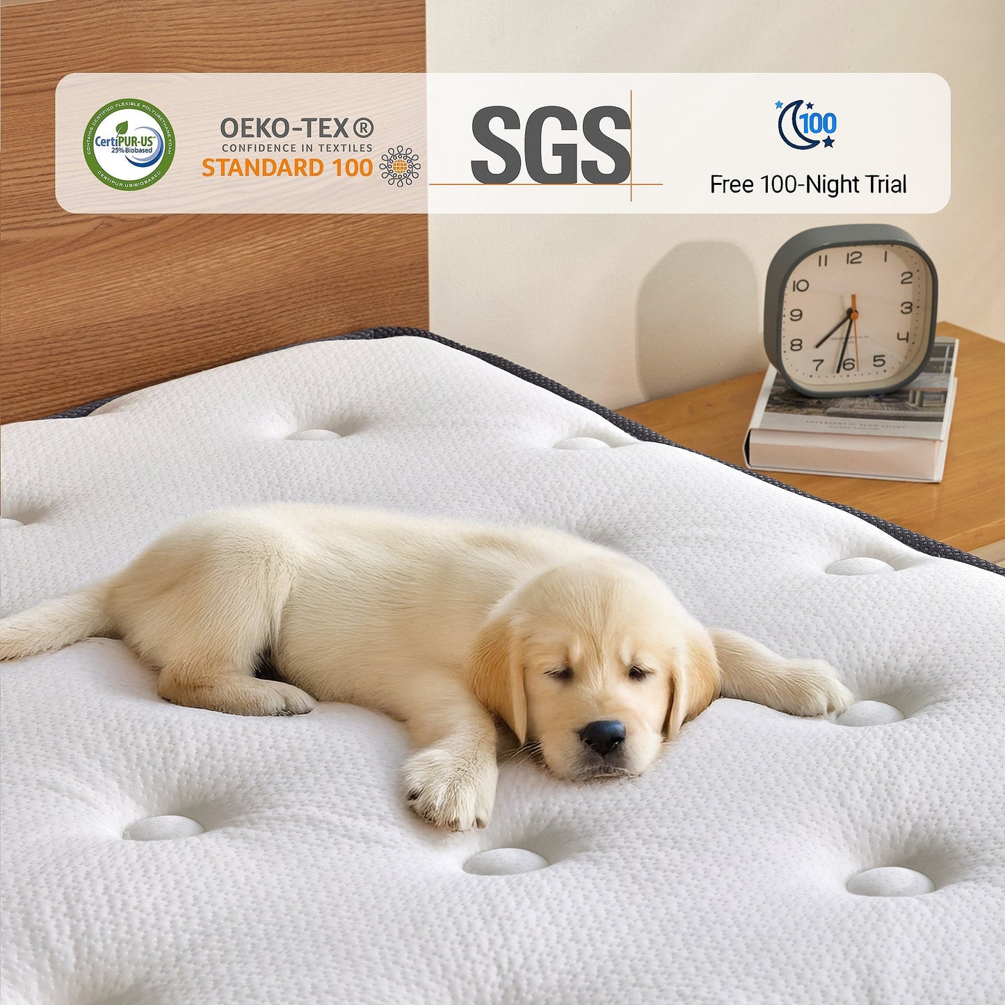 Materasso SweDrea in memory foam ibrido rigido da 10 pollici con certificazione CertiPUR-US e Oeko-TEX, dotato di molle rinforzate.