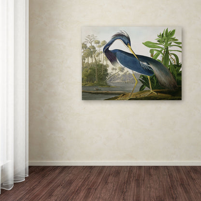 L'opera d'arte su tela "Louisiana Heron" di John James Audubon, curata da The Curated Nomad