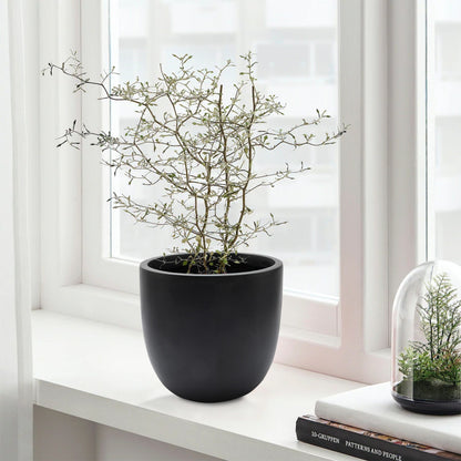 Fioriera rotonda conica in MgO, per interni ed esterni