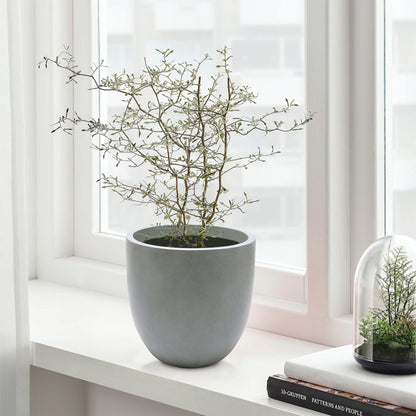 Fioriera rotonda conica in MgO, per interni ed esterni