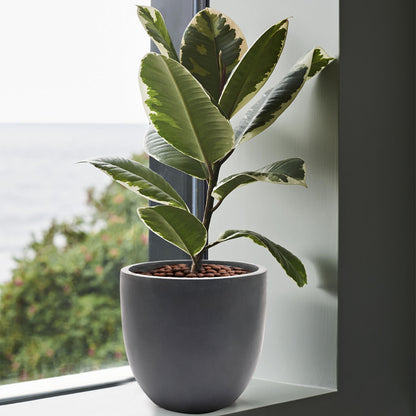 Fioriera rotonda conica in MgO, per interni ed esterni