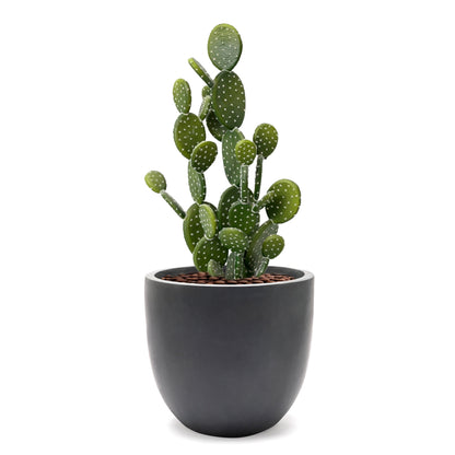 Fioriera rotonda conica in MgO, per interni ed esterni