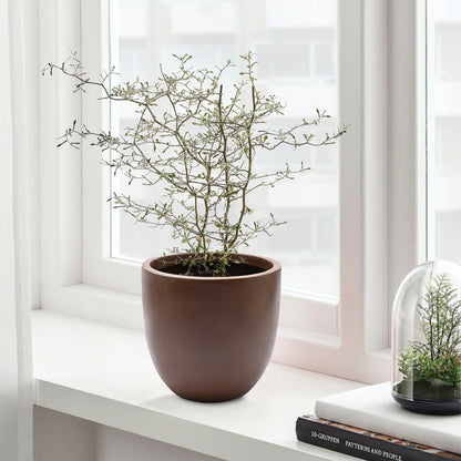 Fioriera rotonda conica in MgO, per interni ed esterni