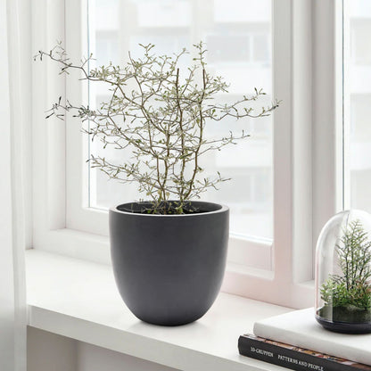 Fioriera rotonda conica in MgO, per interni ed esterni