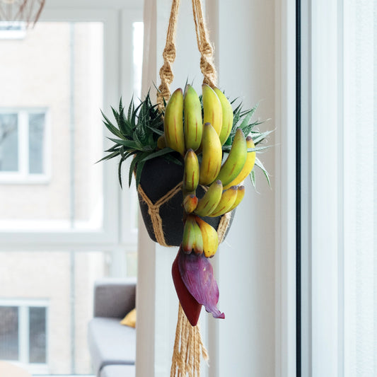 Set di 2 pezzi decorativi artificiali a forma di banana, 28 cm - 28 cm di lunghezza x 10 cm di larghezza x 11 cm di larghezza.