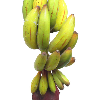 Set di 2 pezzi decorativi artificiali a forma di banana, 28 cm - 28 cm di lunghezza x 10 cm di larghezza x 11 cm di larghezza.