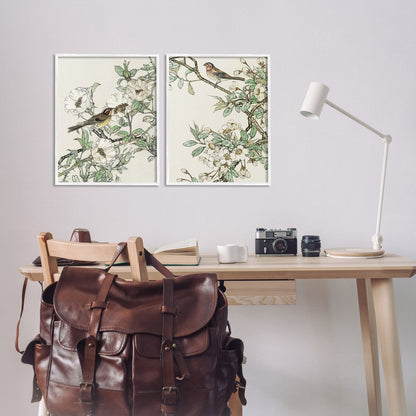 Stupell Classic Sparrow on Blossoms, set di 2 pezzi con cornice Giclée, design di Nan