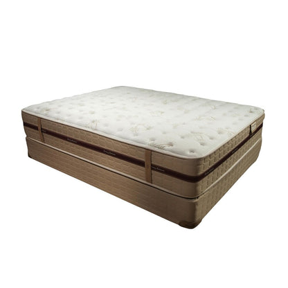 Materasso Tommy Bahama Belmar da 13 pollici con cuscino rigido