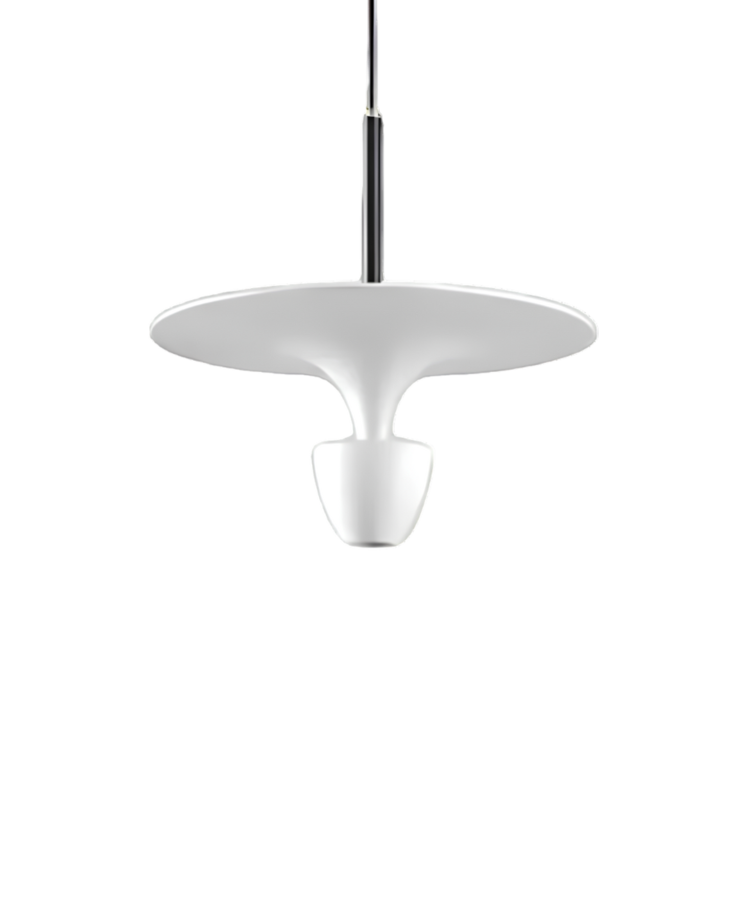 La Lumière Étoilée