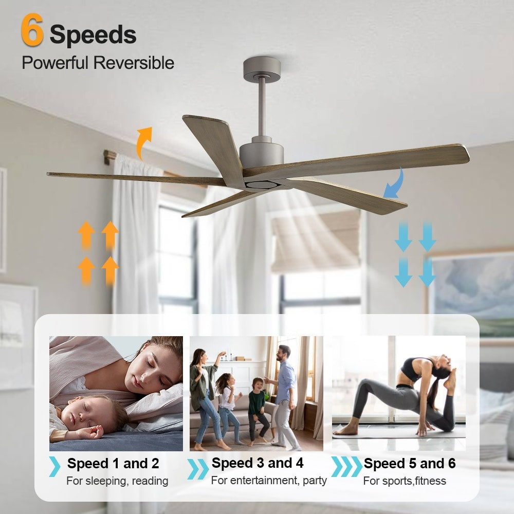 Ventilatore da soffitto per interni con motore CC WINGBO da 54 pollici senza luci - N/D