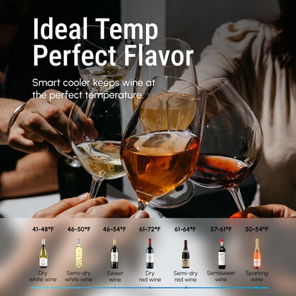 Frigorifero per vino/bevande da 17 pollici, 20 bottiglie, indipendente, controllo digitale della temperatura