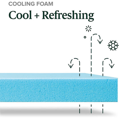 Materasso in memory foam con gel rinfrescante al tè verde ZINUS da 10 pollici, schiuma di gel rinfrescante, allevia la pressione, certificato CertiPUR-US